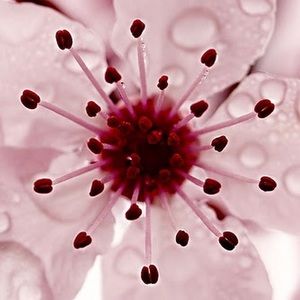 Meet your Posher, Esther